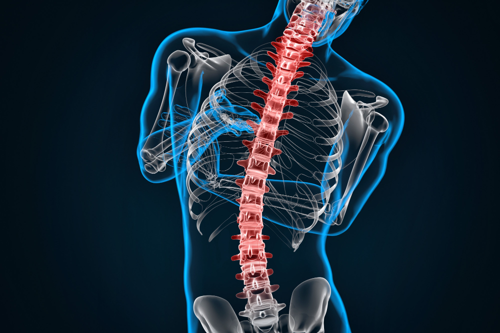 Postural and Spinal Screenings in Westminster | Chiroworks